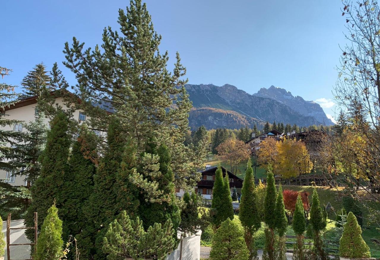 Hotel Serena Cortina コルティーナ・ダンペッツォ エクステリア 写真